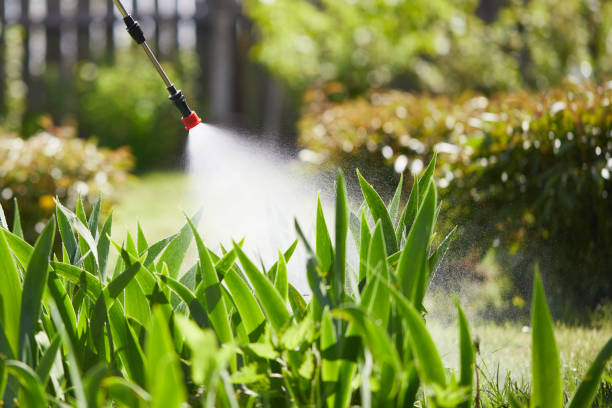 24/7 Emergency Ant Control experts in McClure, PA