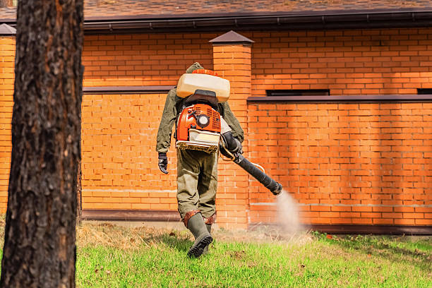Trusted Cockroach Control service in McClure, PA - Nex Pest Control